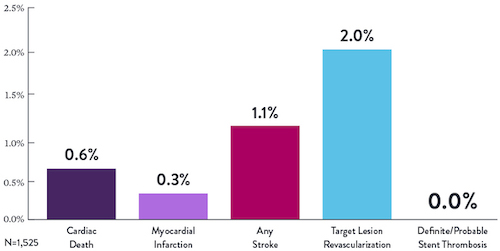 XIENCE™ Stent 1-year data, when using 3-month DAPT, shows 0.0% definite or probable stent thrombosis